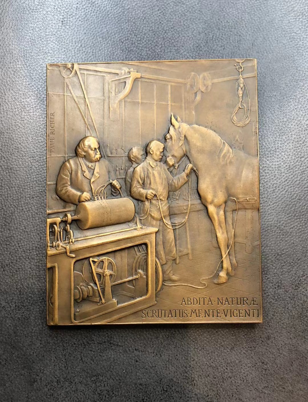 第四期新艺术麦朵尔 夏沃大夫