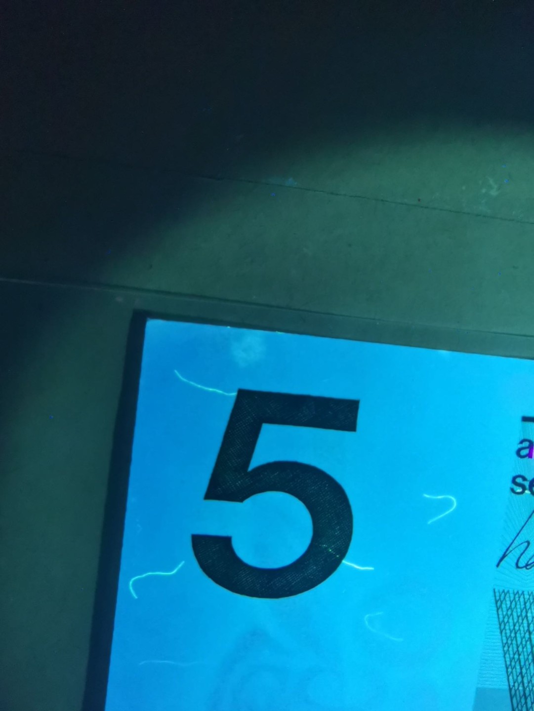 【Blue Auction】✨世界纸币精拍第190期【精】 【一组2张】荷兰5盾&10盾 UNC/UNC-