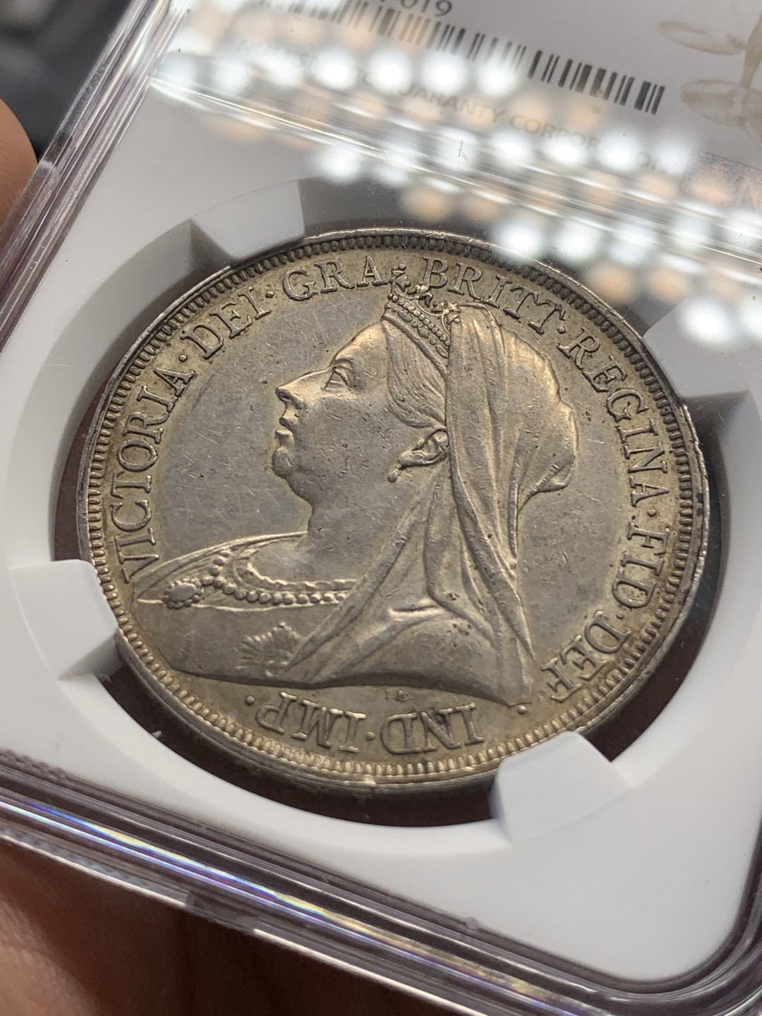 《竞宝斋》中天佳节（端午节特拍）6月12日-周日-第64场 NGC-AU55 英国1893 披纱马剑 原汁原味 脸蛋胖嘟嘟