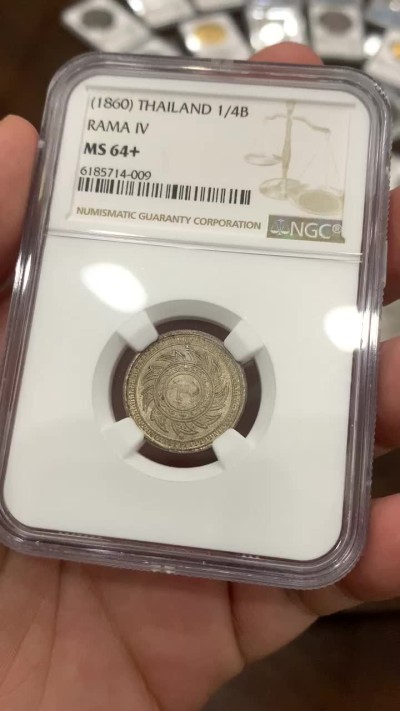 《竞宝斋》中天佳节（端午节特拍）6月12日-周日-第64场 NGC MS64+ 泰国 1860年 大象 1/4铢银币 深打 还是深打 大象的耳朵都没有磨损 高分中的战斗机 欢迎比对