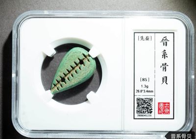 中外纸币.硬币.银币.古币.像章等.综合场.特价上拍.全程自动结拍. - 先秦-晋系骨贝1枚.古泉园地评级85美品！稀罕品.值得收藏.