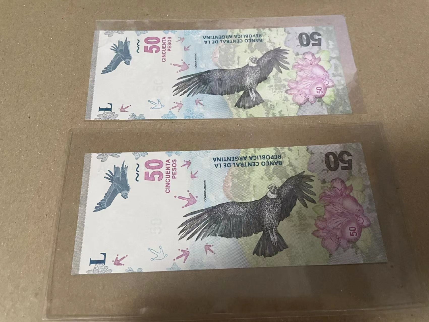 【Blue Auction】✨世界纸币精拍第192期——大蚂蚁&大胡子 【一组5张 包含A冠靓号】多国纸币一组 全新UNC