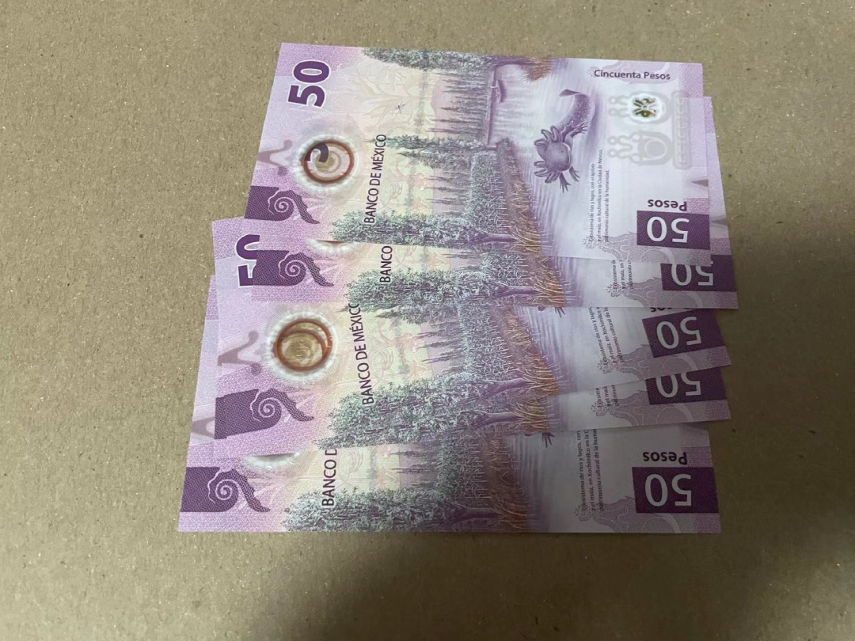 【Blue Auction】✨世界纸币精拍第192期——大蚂蚁&大胡子 【66尾同 5种不同签名 年度最佳纸币】墨西哥2021年50比索 全新UNC