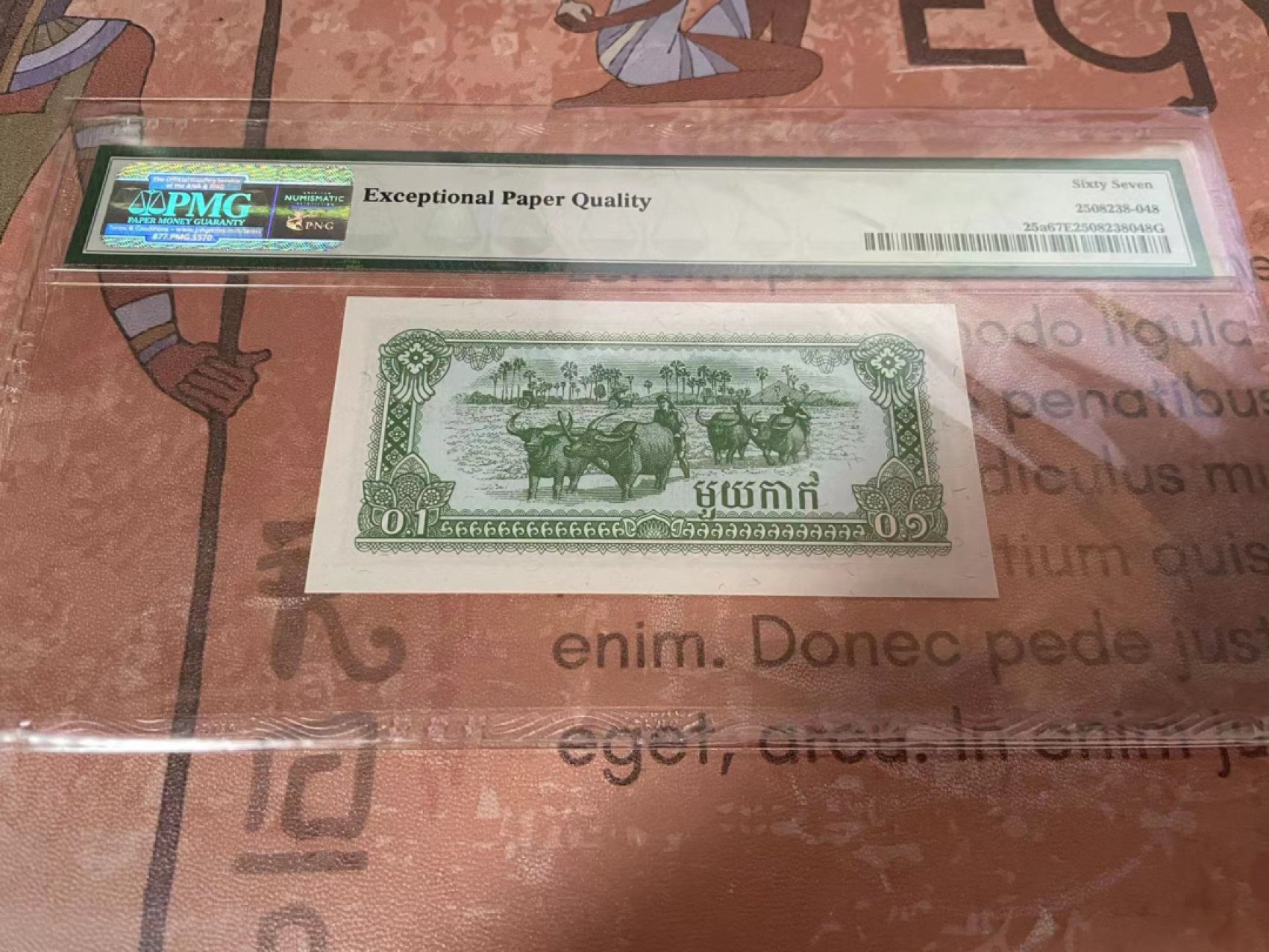 【Blue Auction】✨世界纸币精拍第192期——大蚂蚁&大胡子  柬埔寨 1979年0.1瑞尔 PMG67EPQ  高分