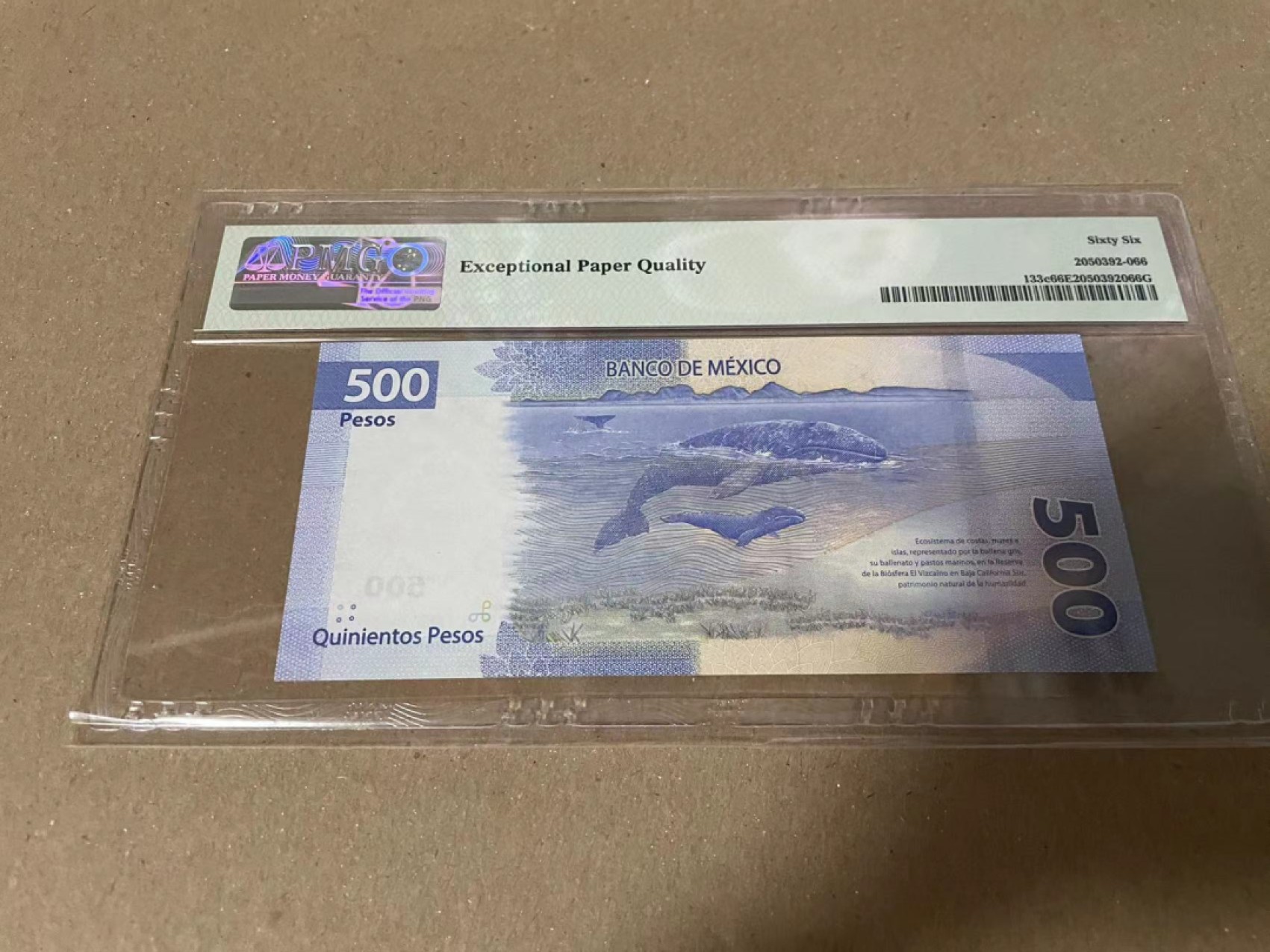 【Blue Auction】✨世界纸币精拍第192期——大蚂蚁&大胡子 墨西哥 2019年500比索 PMG66EPQ 