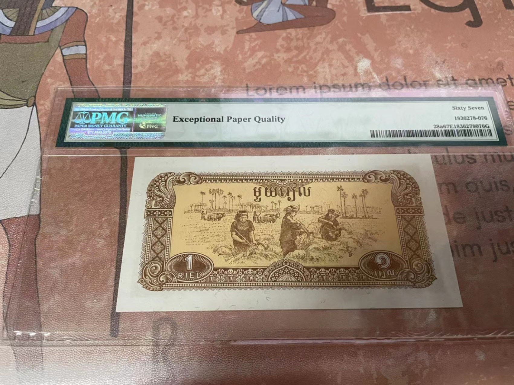【Blue Auction】✨世界纸币精拍第192期——大蚂蚁&大胡子 柬埔寨 1979年1瑞尔 PMG67EPQ  高分