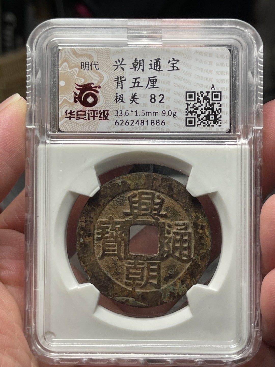 极美兴朝通宝背五厘