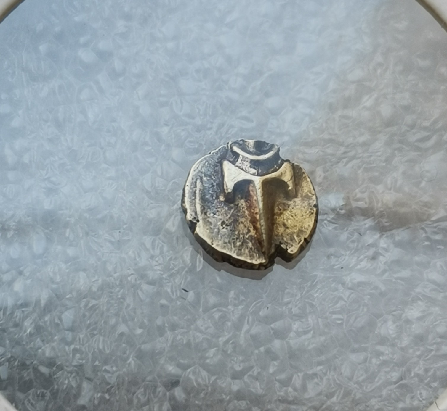 瓶子🏺第43期拍卖会 印度迈索尔邦17世纪1法南小金币（矛头）