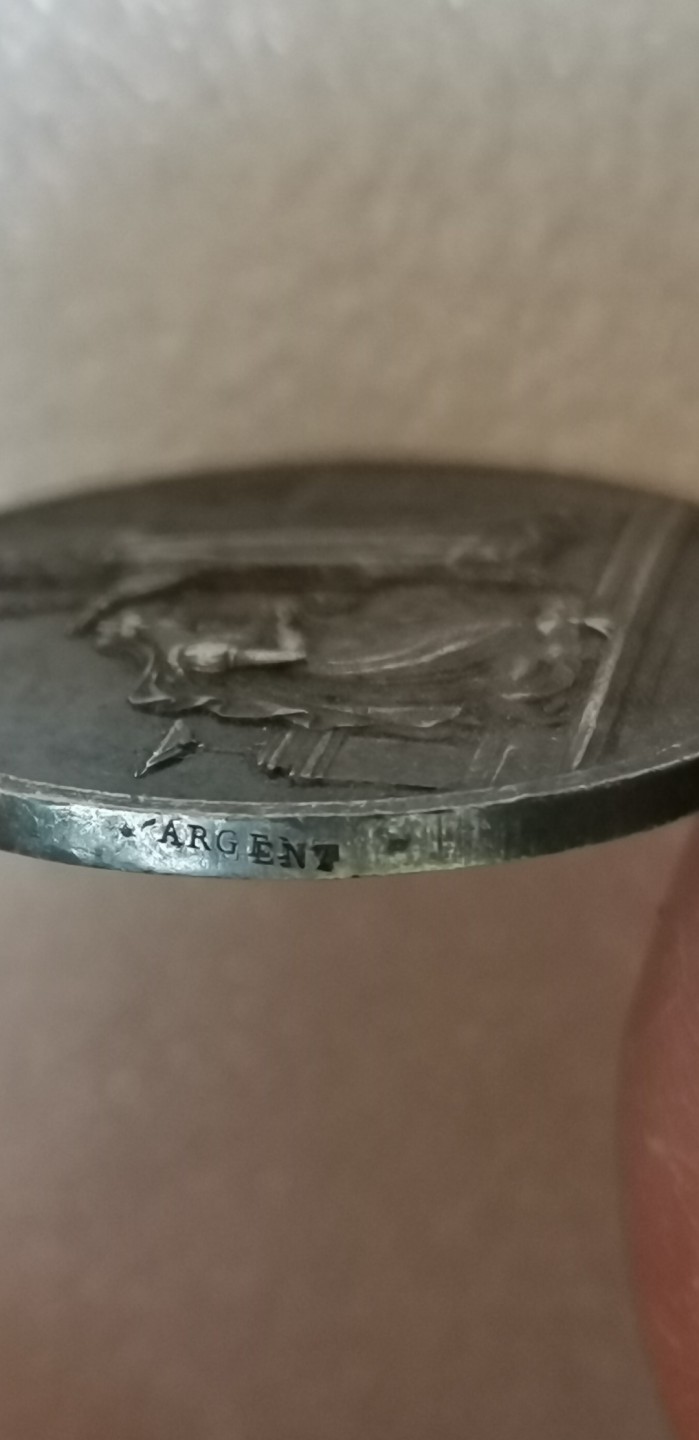 瓶子🏺第43期拍卖会 法国1881年实发五彩结婚纪念银章（蜜蜂铭）