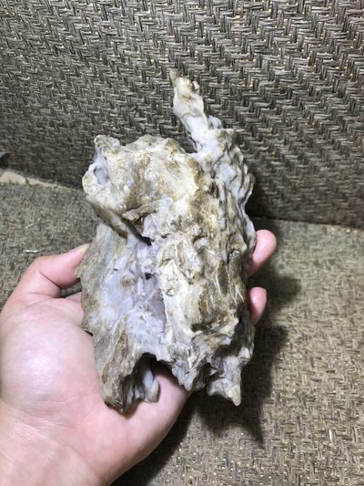 精美戈壁高玉化风凌石原石笔摆件.（把件）一块 - 精美戈壁高玉化风凌石原石笔摆件.（把件）一块