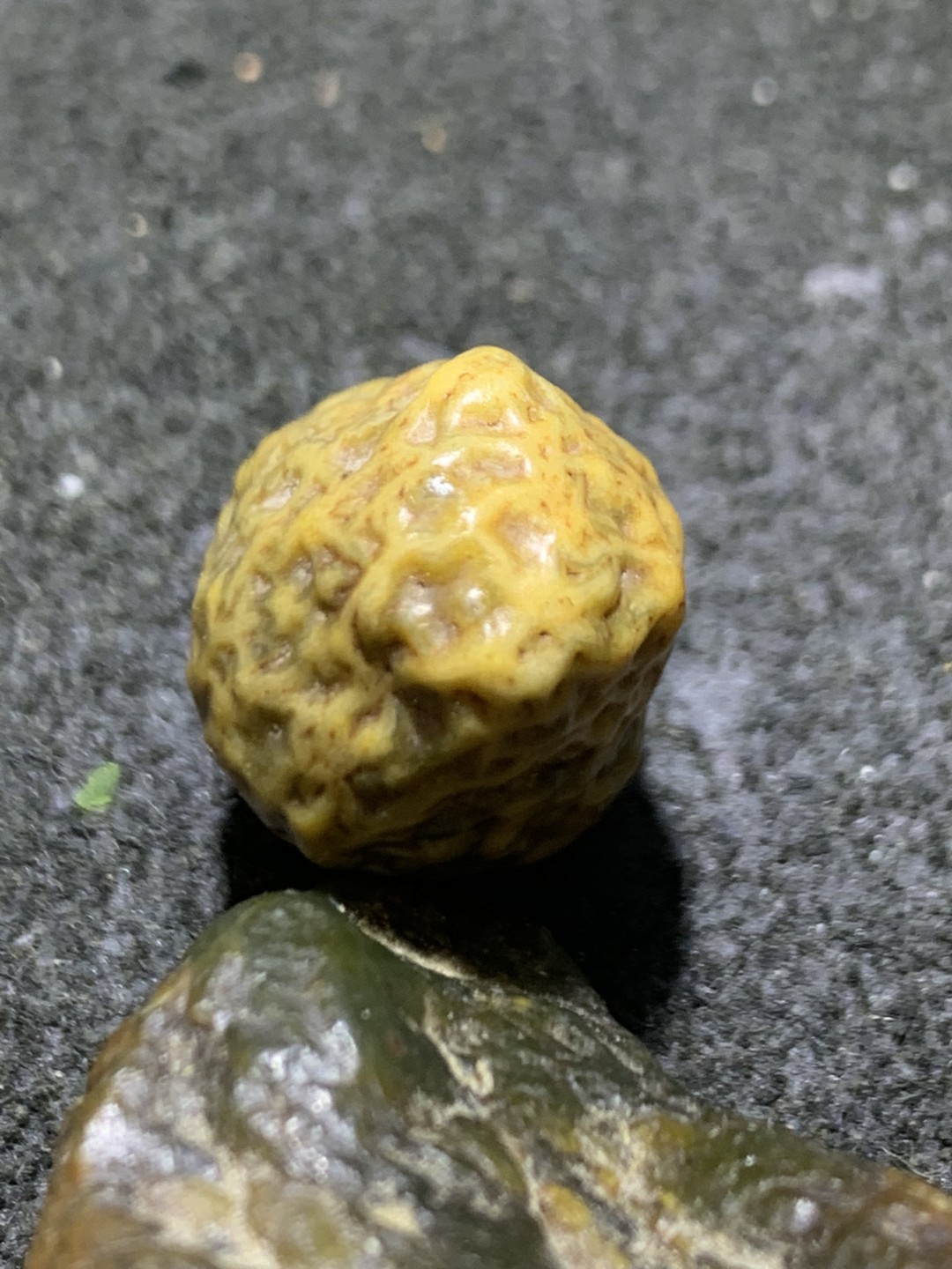 精美戈壁筋脉石小原石一颗，