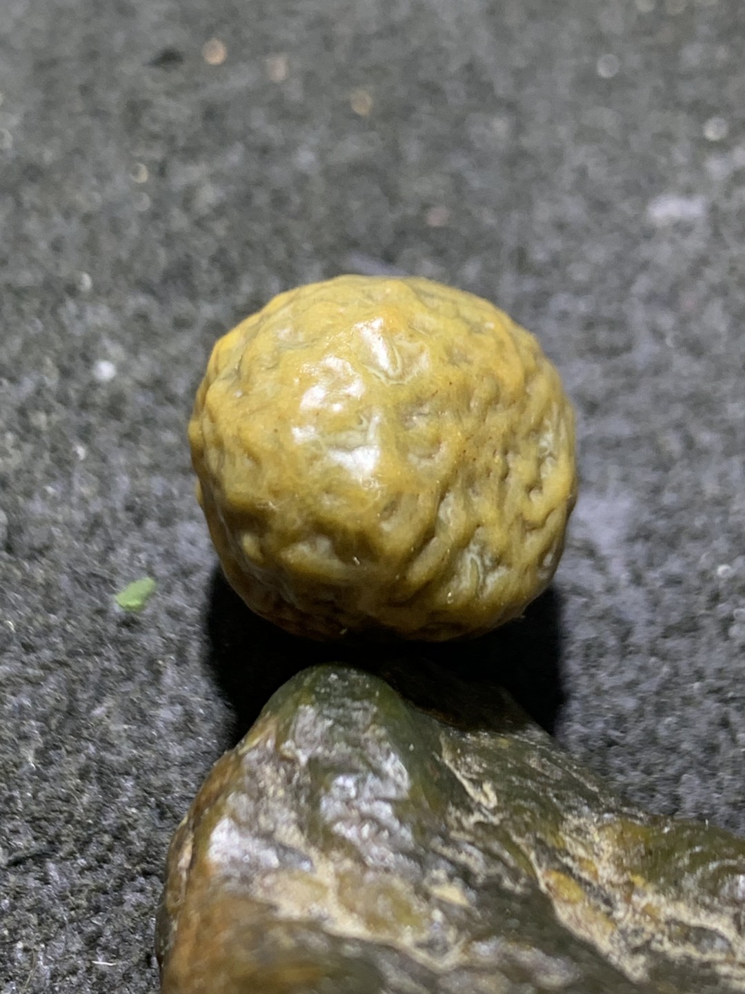 精美戈壁筋脉石小原石一颗，
