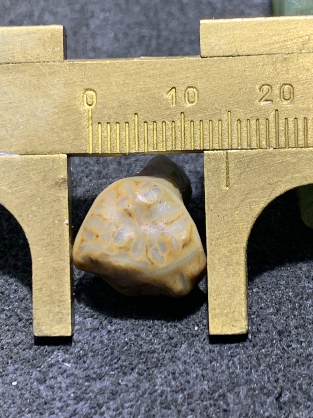 精美戈壁筋脉石小原石一颗，