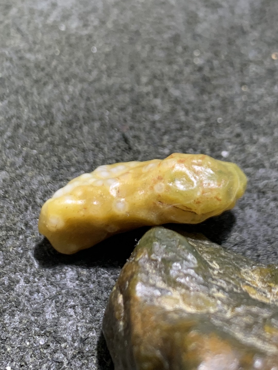 精美戈壁筋脉石小原石一颗