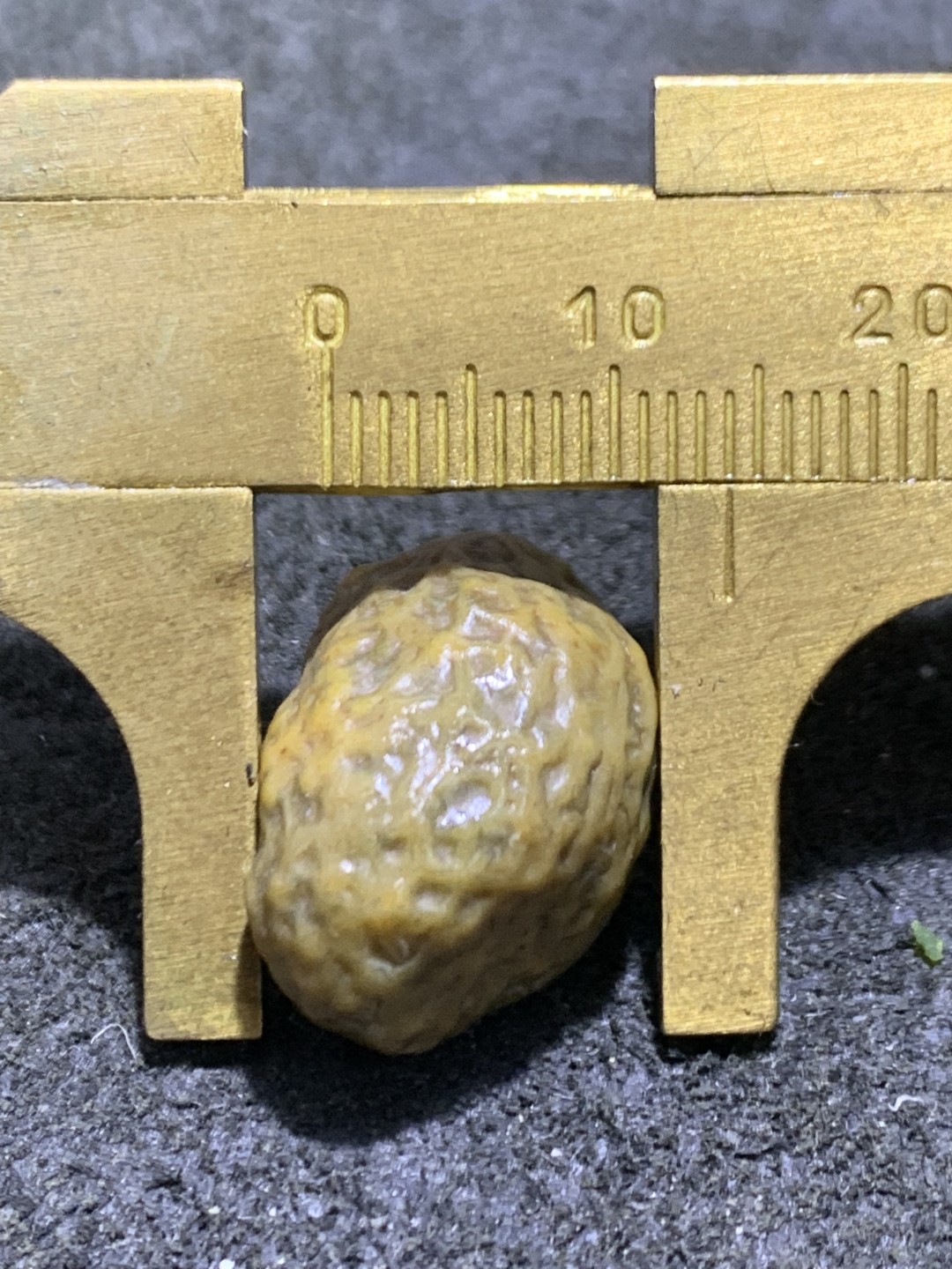 精美戈壁筋脉石小原石一颗，