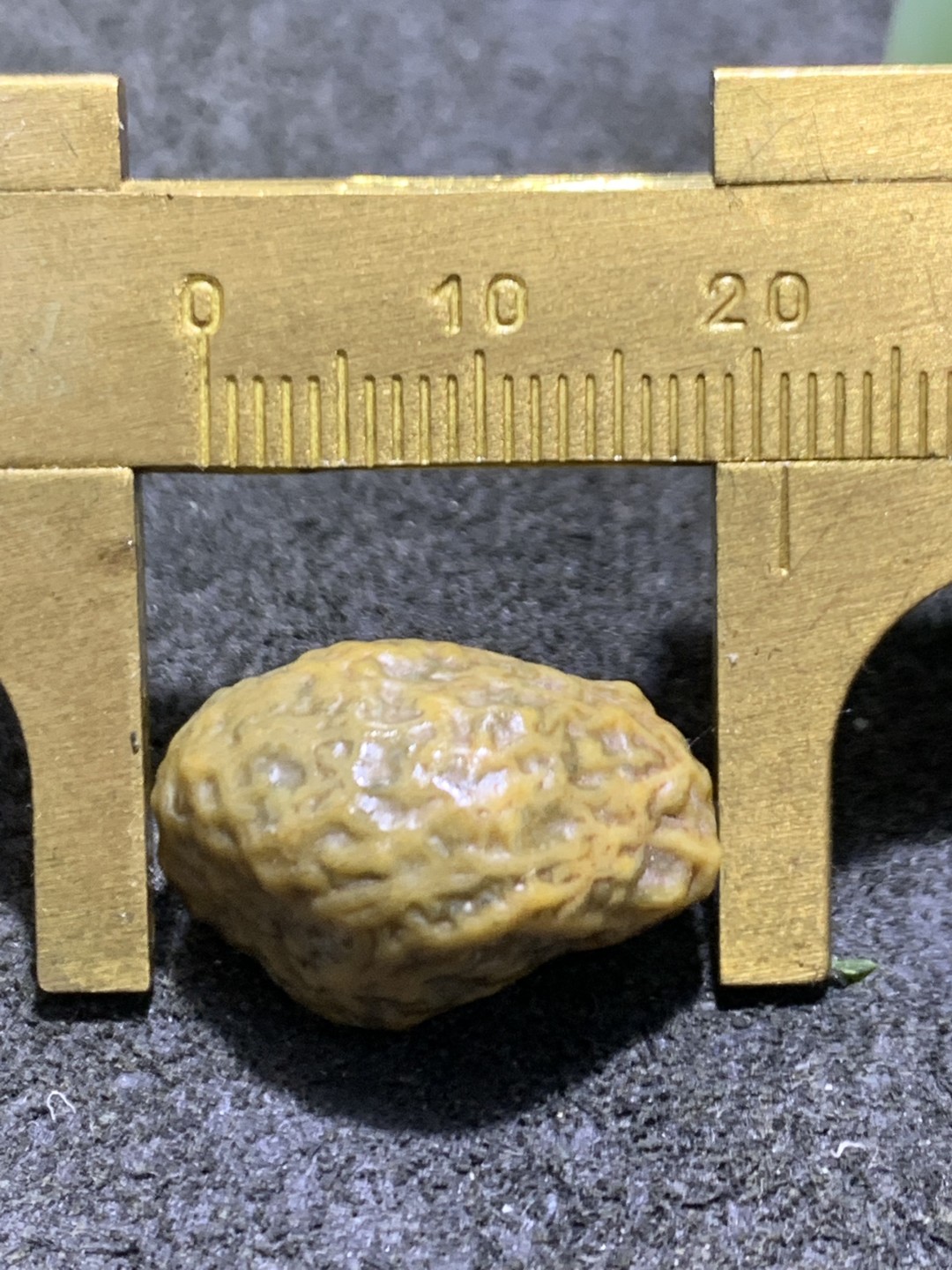 精美戈壁筋脉石小原石一颗，