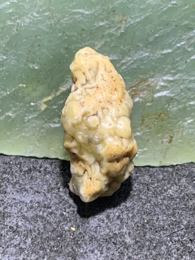 精美戈壁筋脉石小原石一颗 - 精美戈壁筋脉石小原石一颗