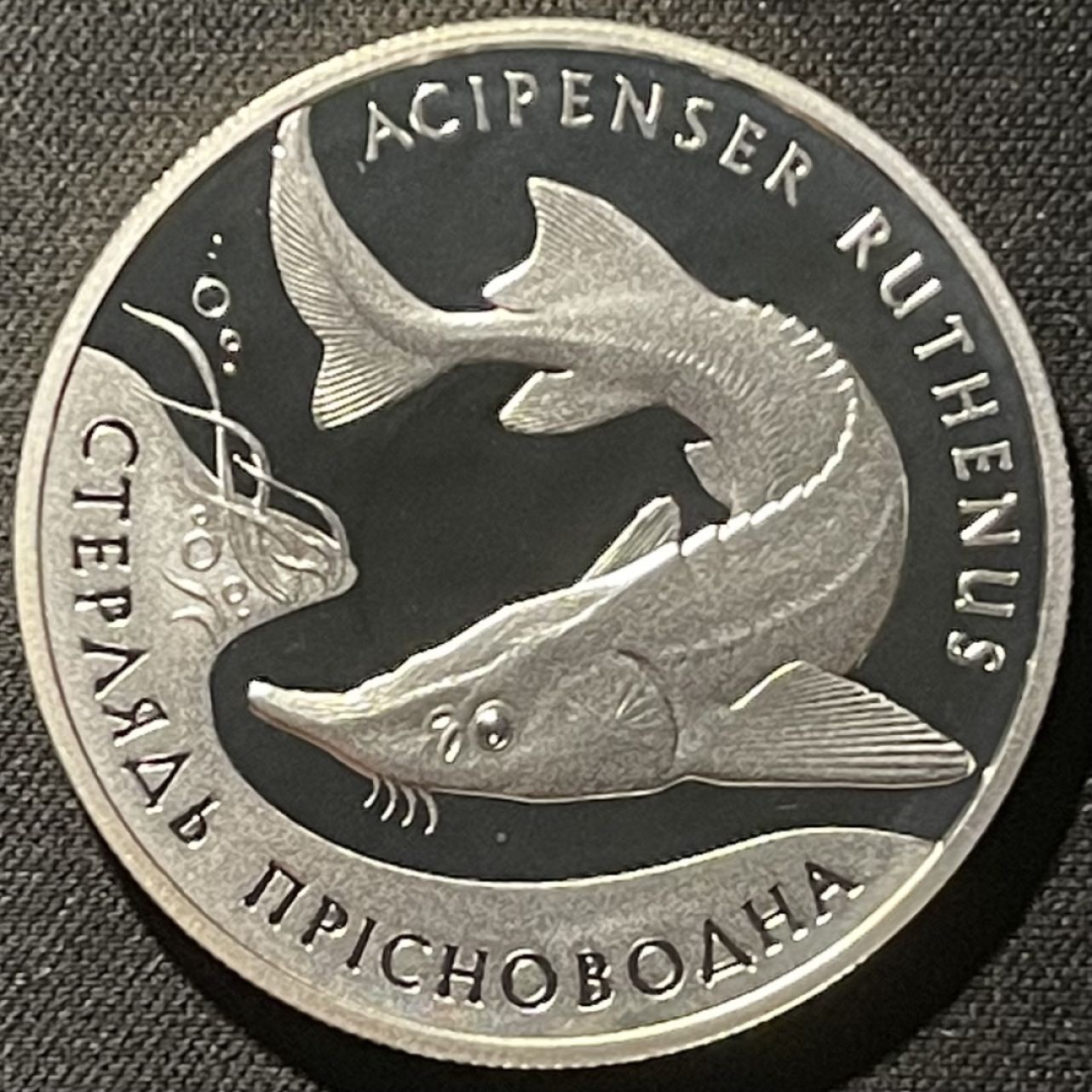 紫瑗钱币——第196期拍卖