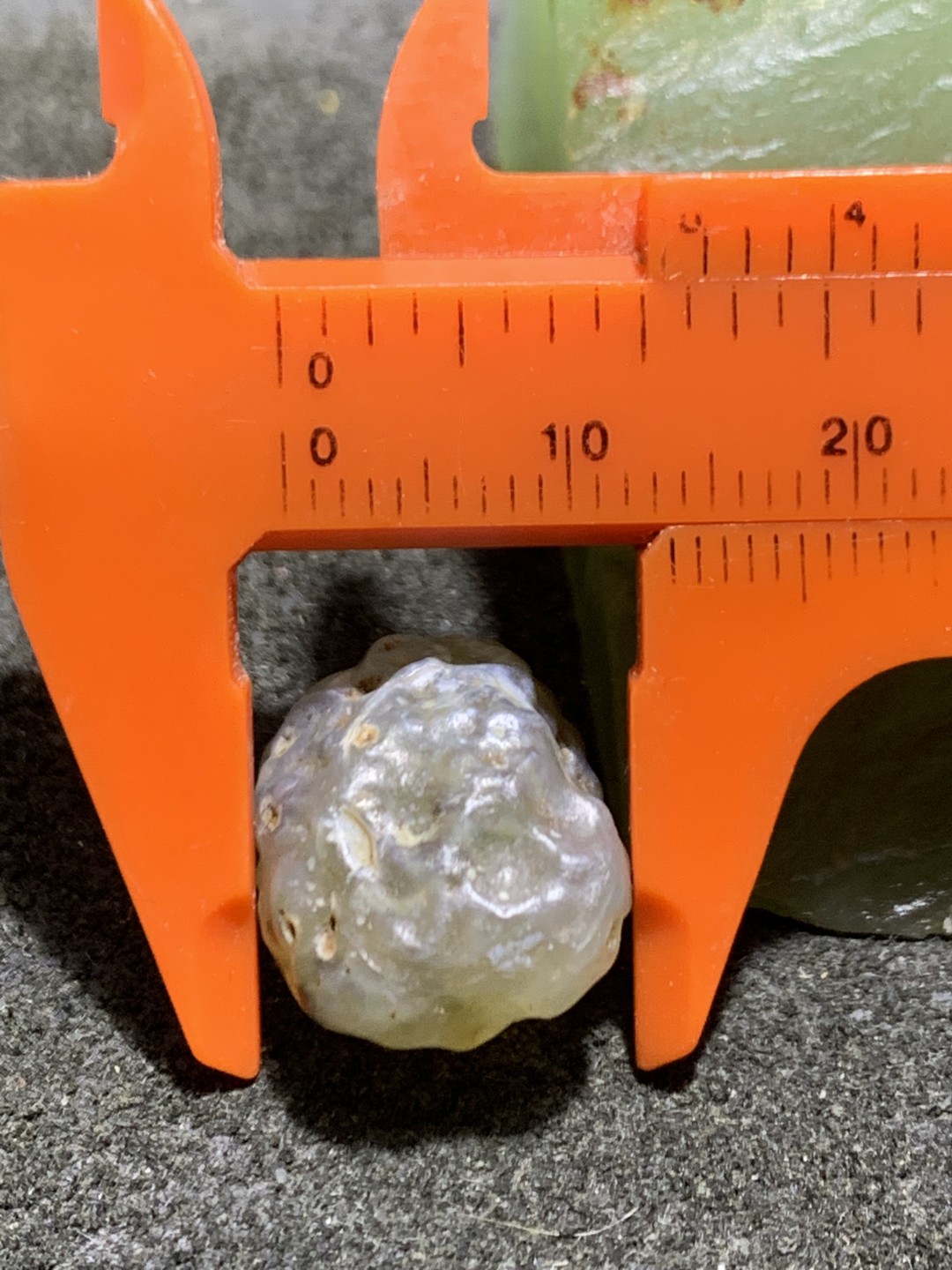 精美戈壁筋脉石小原石一颗