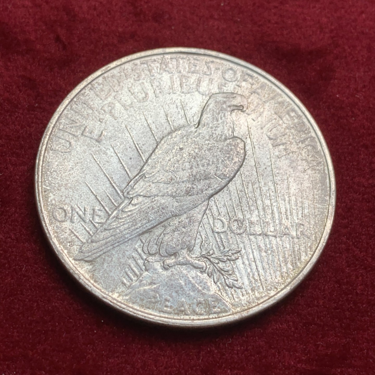 《竞宝斋》第66场-本周日，周一2场连拍（全场不限金额包邮） 美国 1922年 1美元 和平银币  背面已经有淡淡的彩开始生成 底板有光 品相非常哇塞