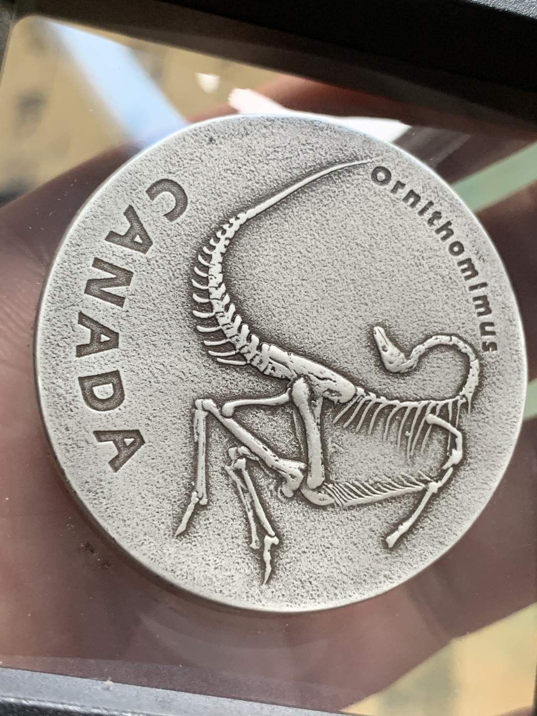 《竞宝斋》第66场-本周日，周一2场连拍（全场不限金额包邮） 2017年加拿大远古恐龙化石仿古银币原包装