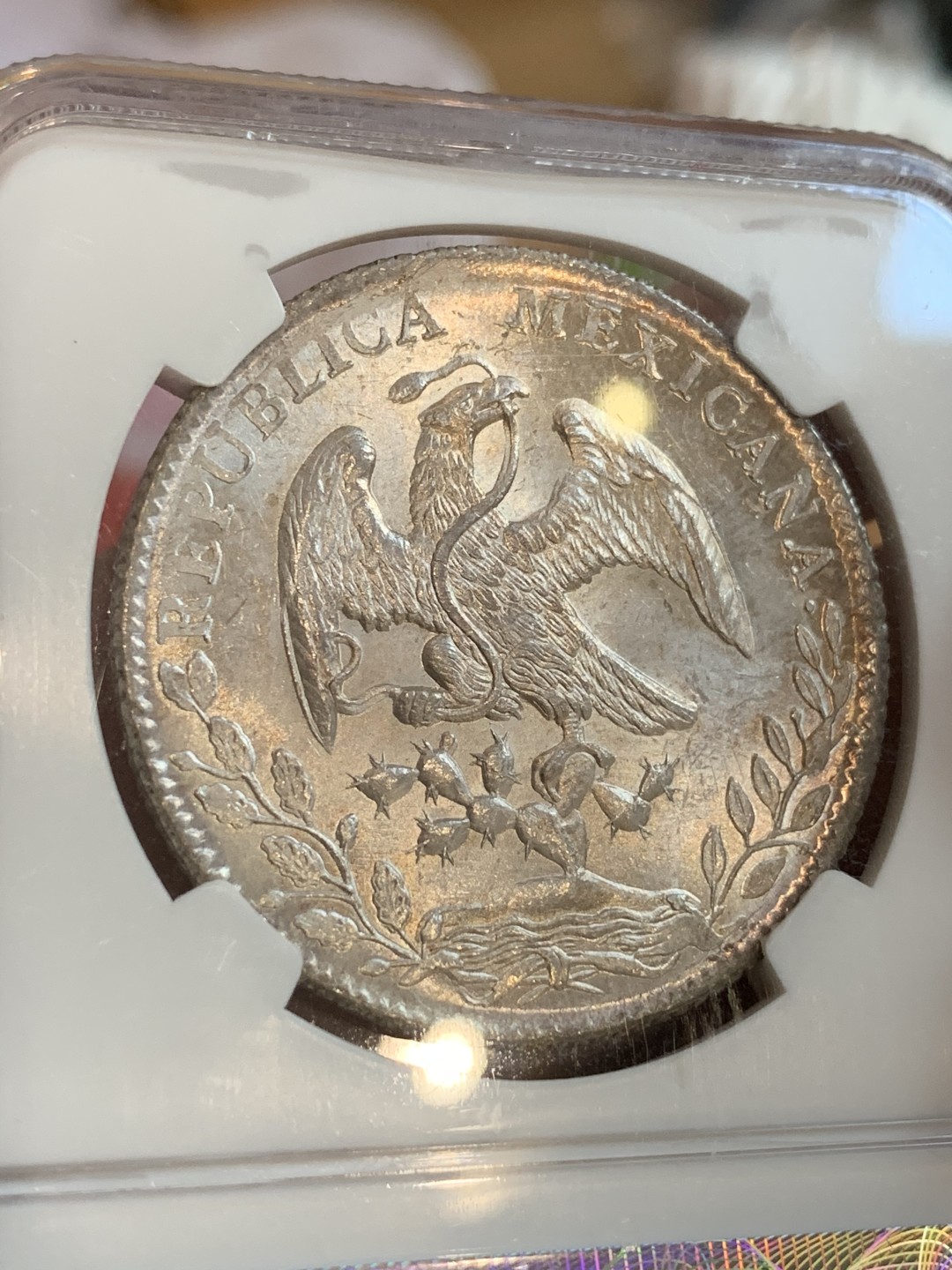 《竞宝斋》第66场-本周日，周一2场连拍（全场不限金额包邮） 亚军分NGC MS65 墨西哥1886年ZS JM版 8R 花边鹰洋 全羽美仑美奂的光芒 难得藏品