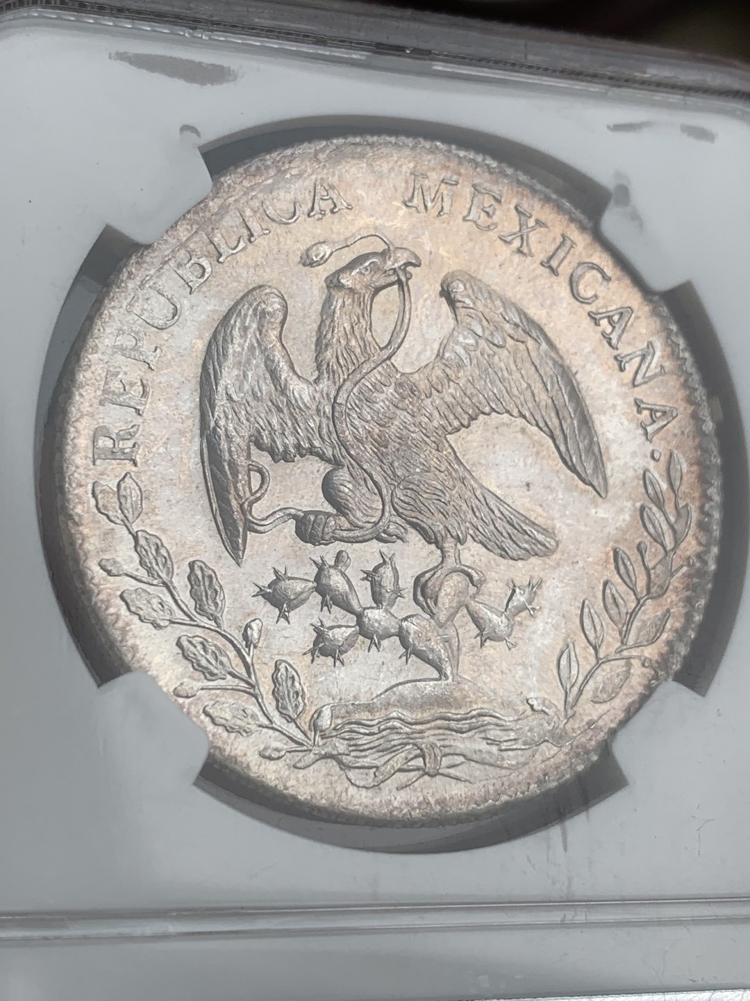 《竞宝斋》第66场-本周日，周一2场连拍（全场不限金额包邮） 亚军分NGC MS65 墨西哥1886年ZS JM版 8R 花边鹰洋 全羽美仑美奂的光芒 难得藏品