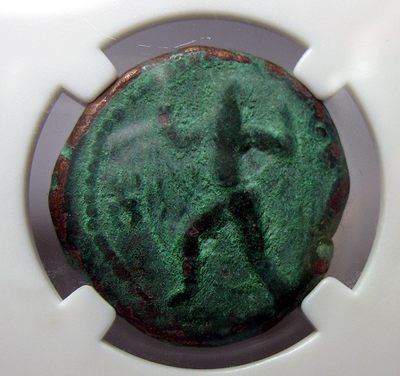 贵霜四德拉克马铜币,迦腻色迦,公元127-152,中乾评级XF40 - 贵霜四德拉克马铜币,迦腻色迦,公元127-152,中乾评级XF40