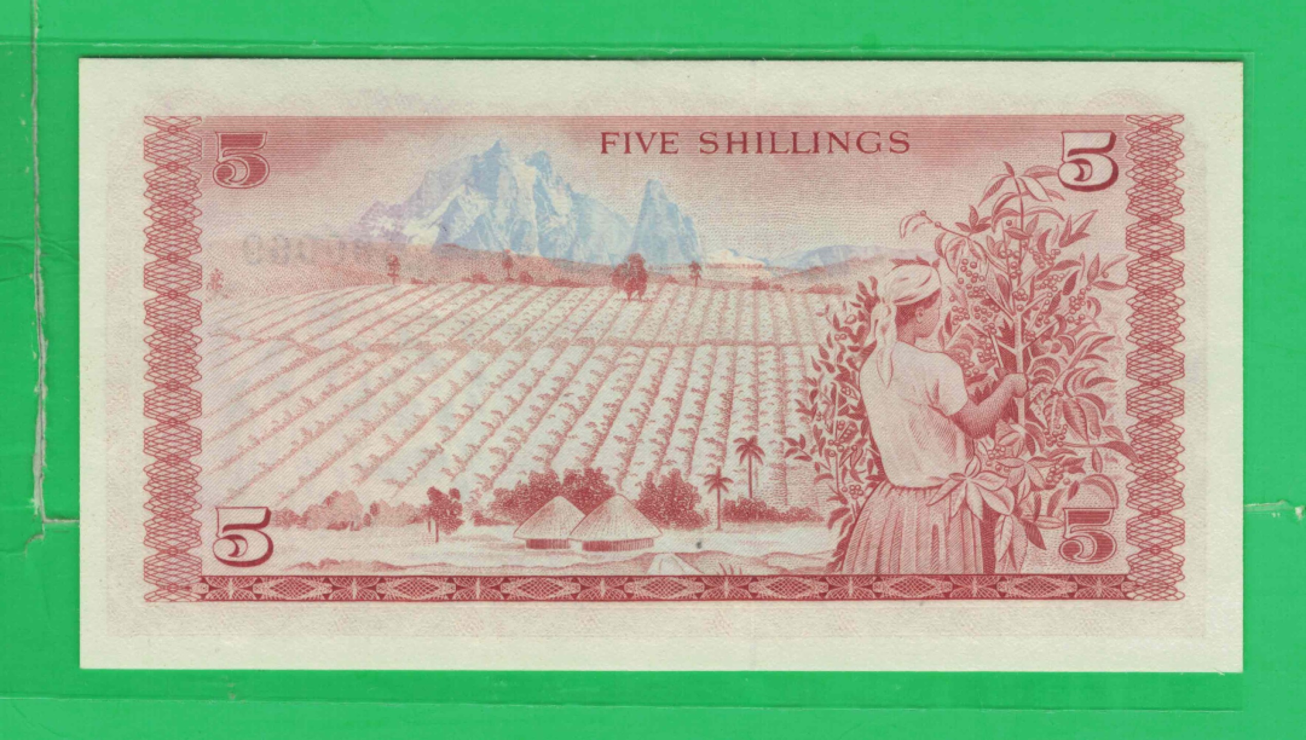肯尼亚1978年5先令 非洲纸币 实物如图 UNC