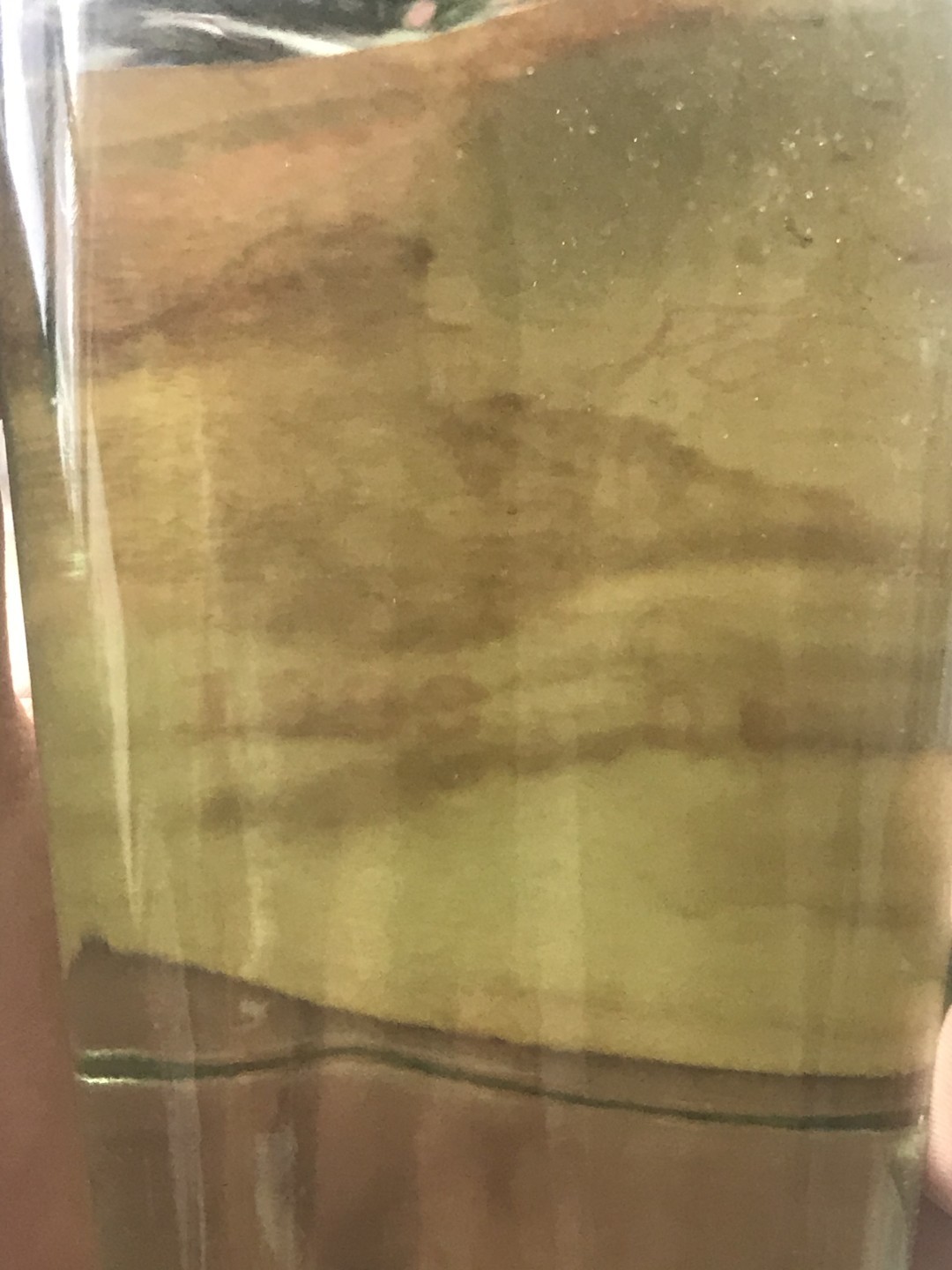 小英开心拍第578期