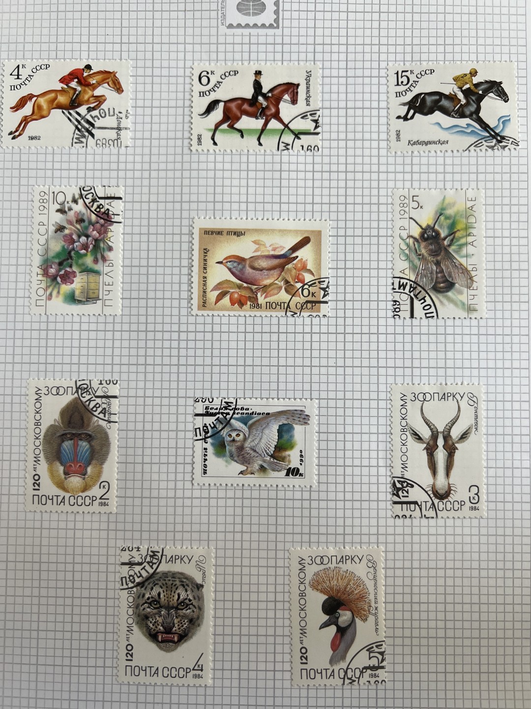 泡泡堂第十八期  世界硬币邮票专场（全场20包邮） 苏联动物套票五