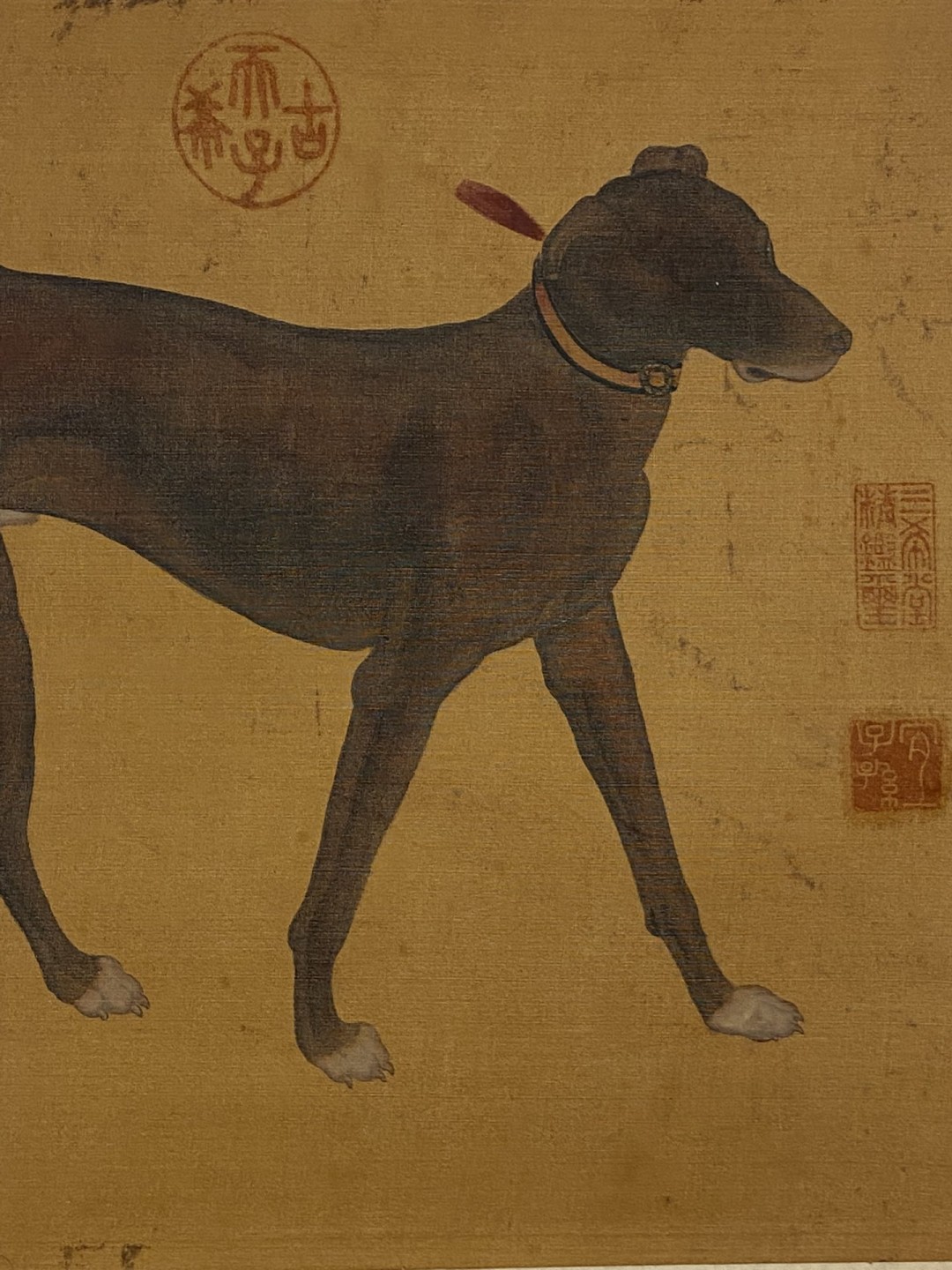 郎世宁绢本贡犬立轴