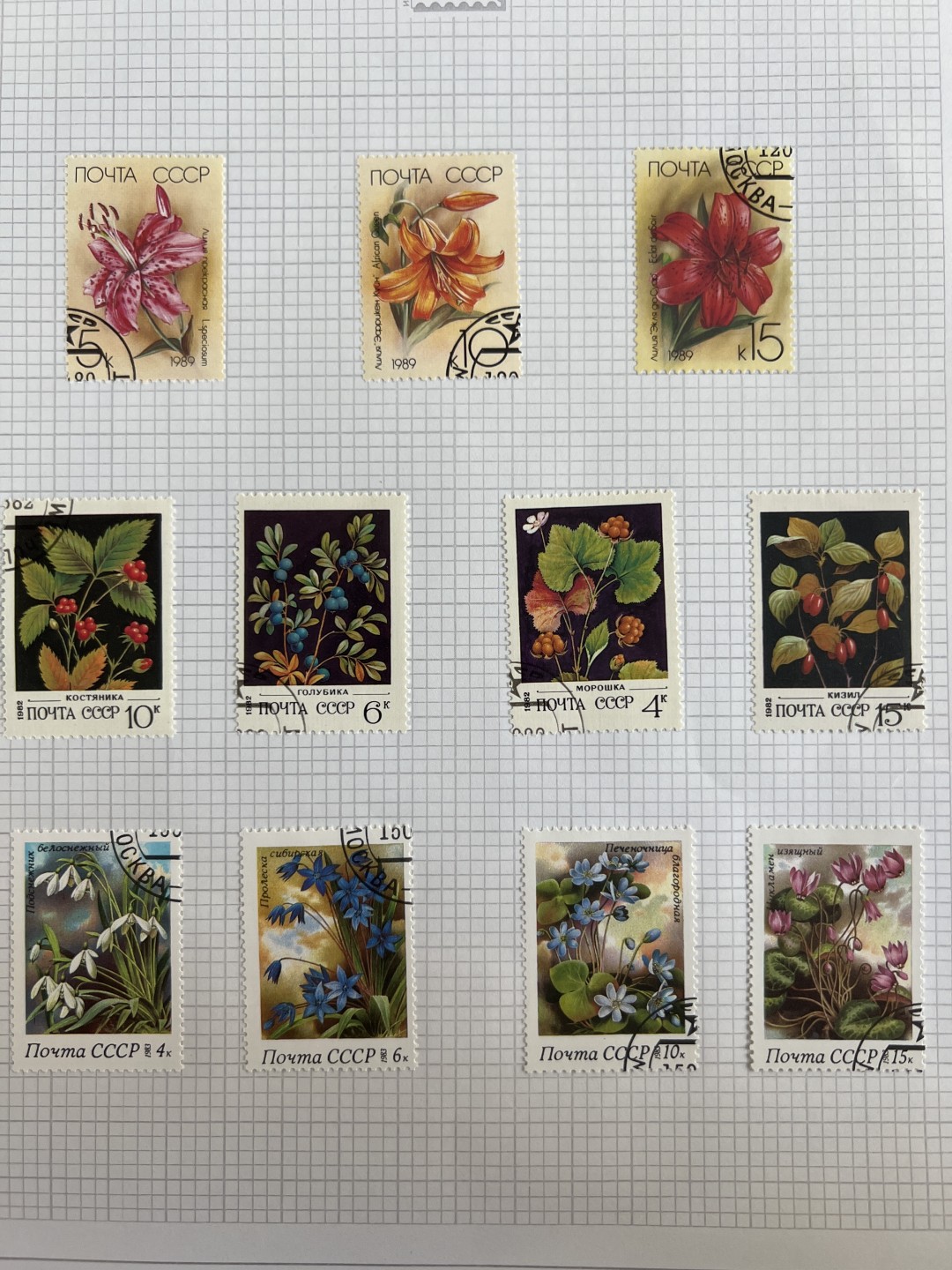 泡泡堂第十八期  世界硬币邮票专场（全场20包邮） 苏联植物套票七