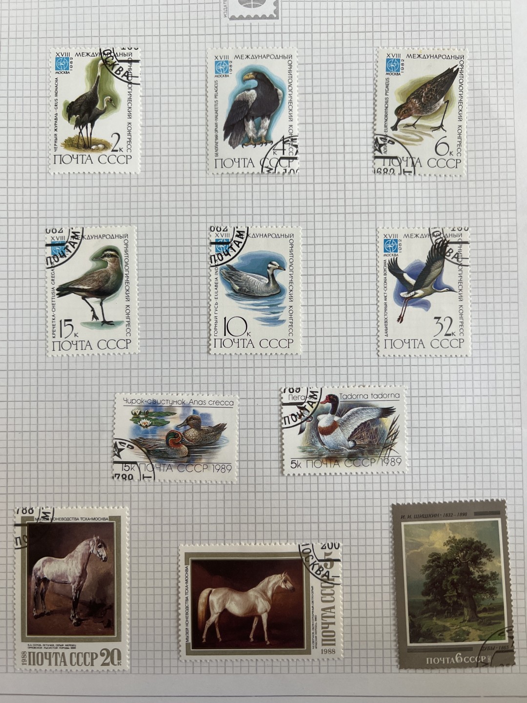 泡泡堂第九期 外国邮票纸币捡漏专场（全场0元起拍，20包邮） 苏联动物套票八