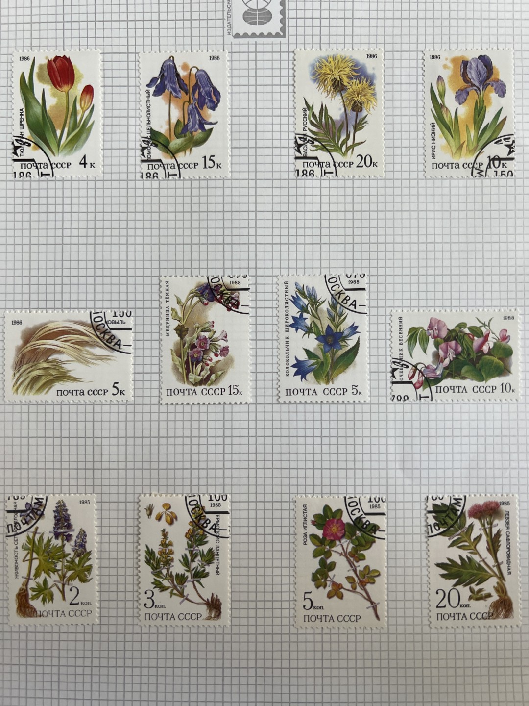 泡泡堂第十八期  世界硬币邮票专场（全场20包邮） 苏联植物套票六