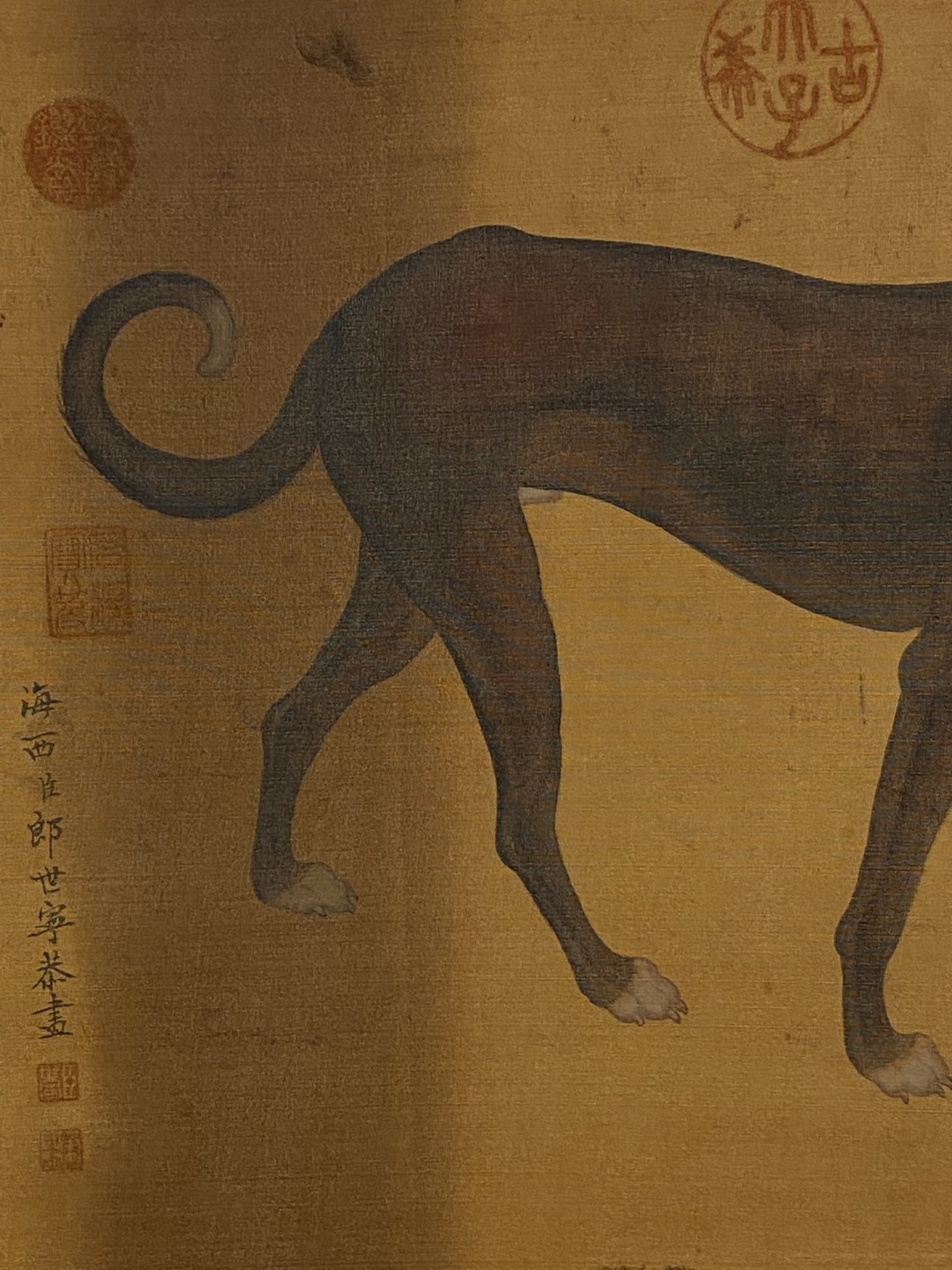 郎世宁绢本贡犬立轴
