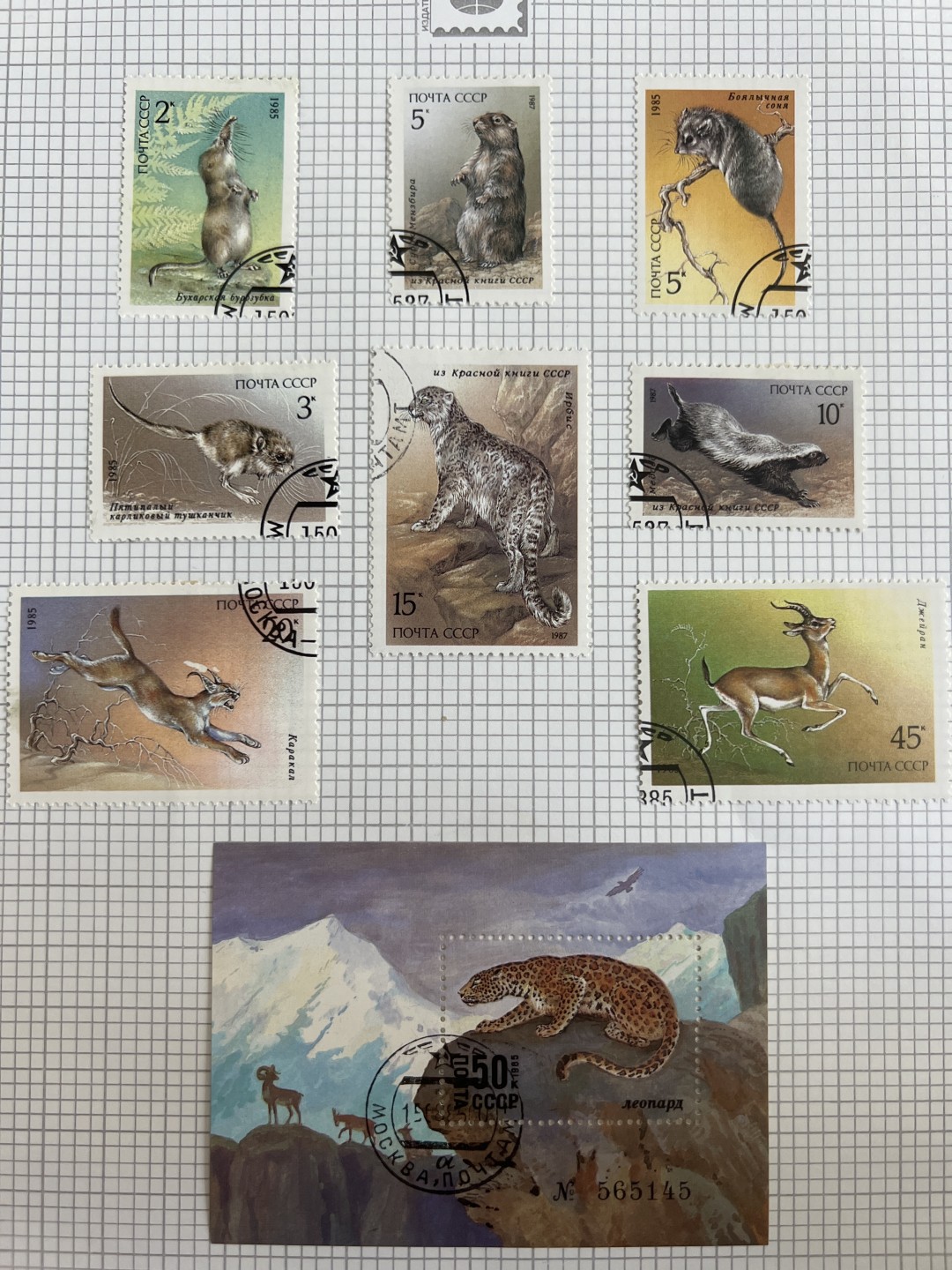 泡泡堂第十八期  世界硬币邮票专场（全场20包邮） 苏联动物套票九