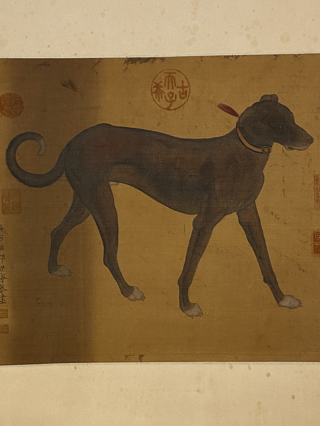 郎世宁绢本贡犬立轴