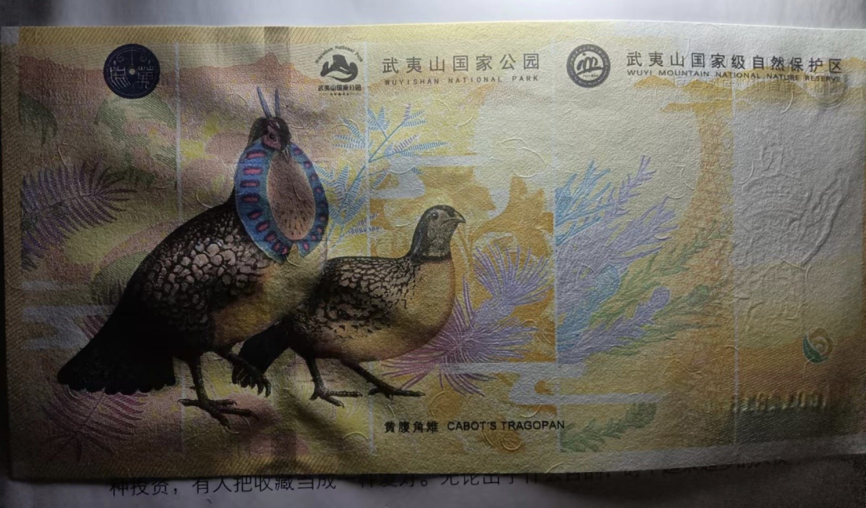 Chase Auction 第14期 - - 中外钱币、纪念钞、民国钞联拍（增加若干拍品） 世界文化遗产武夷山纪念钞一张！unc品相！