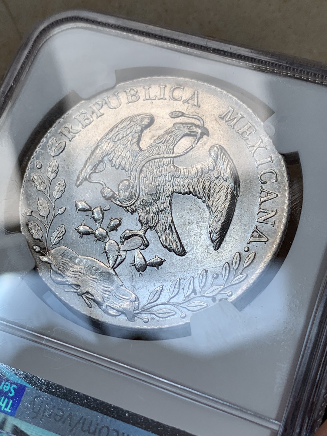 《竞宝斋》第67场-本周日，周一，周四.3场连拍（全场不限金额包邮） NGC MS61 墨西哥 1897年 8R 花边鹰洋 底板深打 状态好，羽毛光亮 一根不少