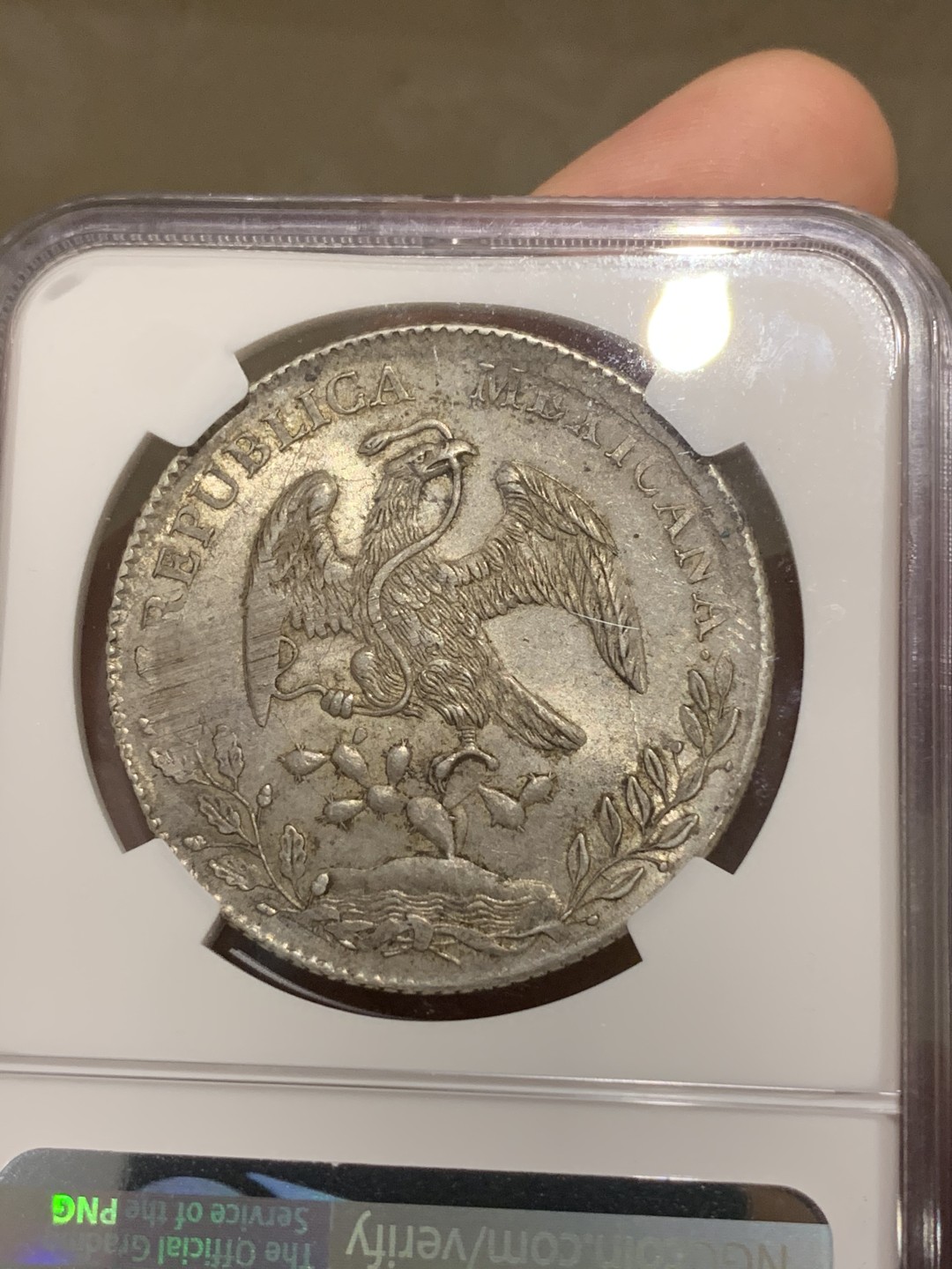 《竞宝斋》第67场-本周日，周一，周四.3场连拍（全场不限金额包邮） NGC MS62 墨西哥 1891年 花边 鹰洋 银币 双面原味包浆 底光好 收藏佳品