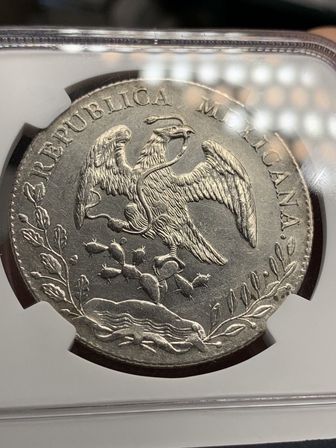 《竞宝斋》第67场-本周日，周一，周四.3场连拍（全场不限金额包邮） NGC MS61 墨西哥 1897年 8R 花边鹰洋 底板深打 状态好，羽毛光亮 一根不少