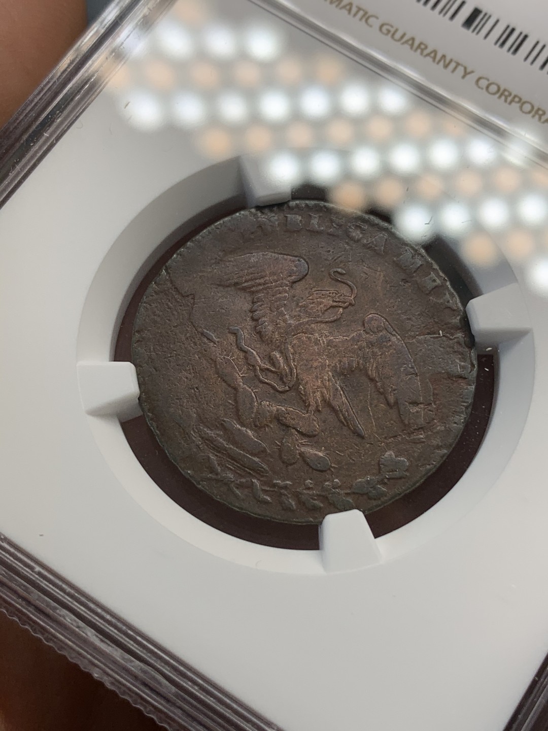 《竞宝斋》第67场-本周日，周一，周四.3场连拍（全场不限金额包邮） NGC-VFD墨西哥1836年1/4R铜币