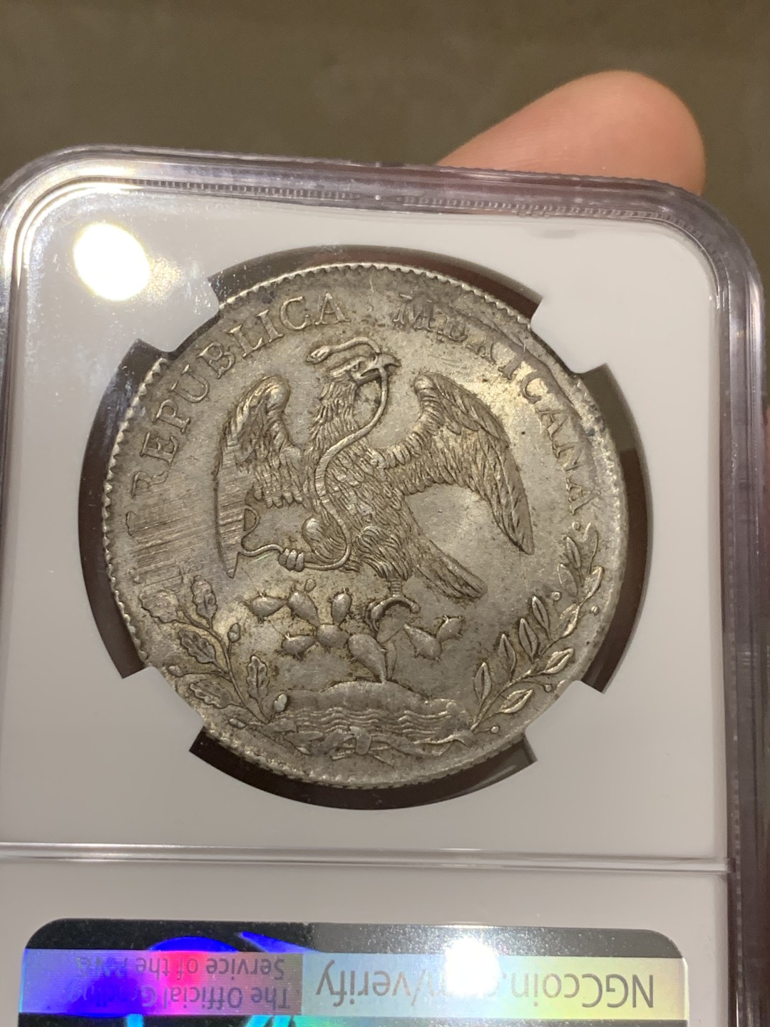 《竞宝斋》第67场-本周日，周一，周四.3场连拍（全场不限金额包邮） NGC MS62 墨西哥 1891年 花边 鹰洋 银币 双面原味包浆 底光好 收藏佳品