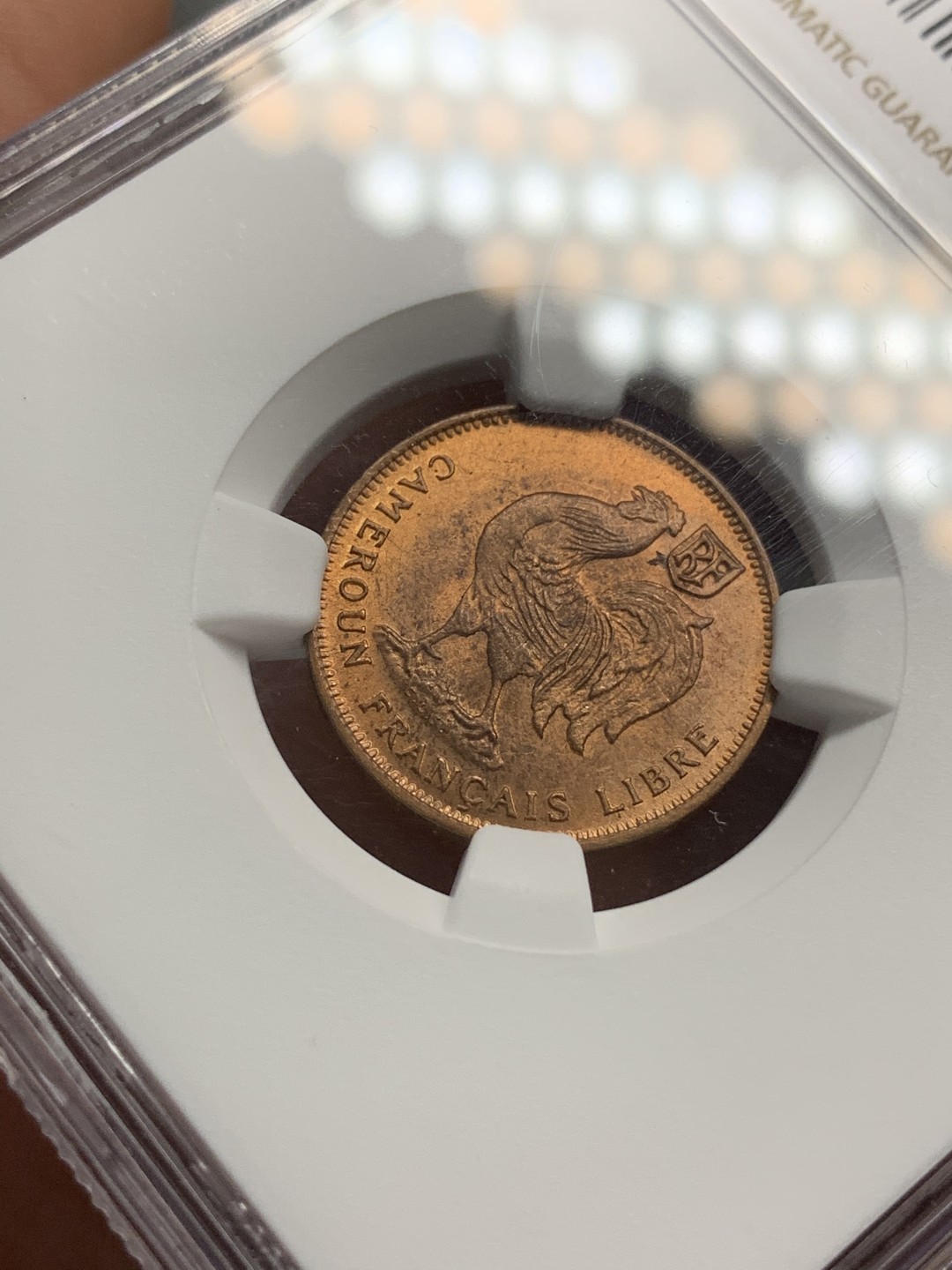 《竞宝斋》第67场-本周日，周一，周四.3场连拍（全场不限金额包邮） NGC MS64RB 喀麦隆 1943年 50分 铜币 RB状态 非常难得