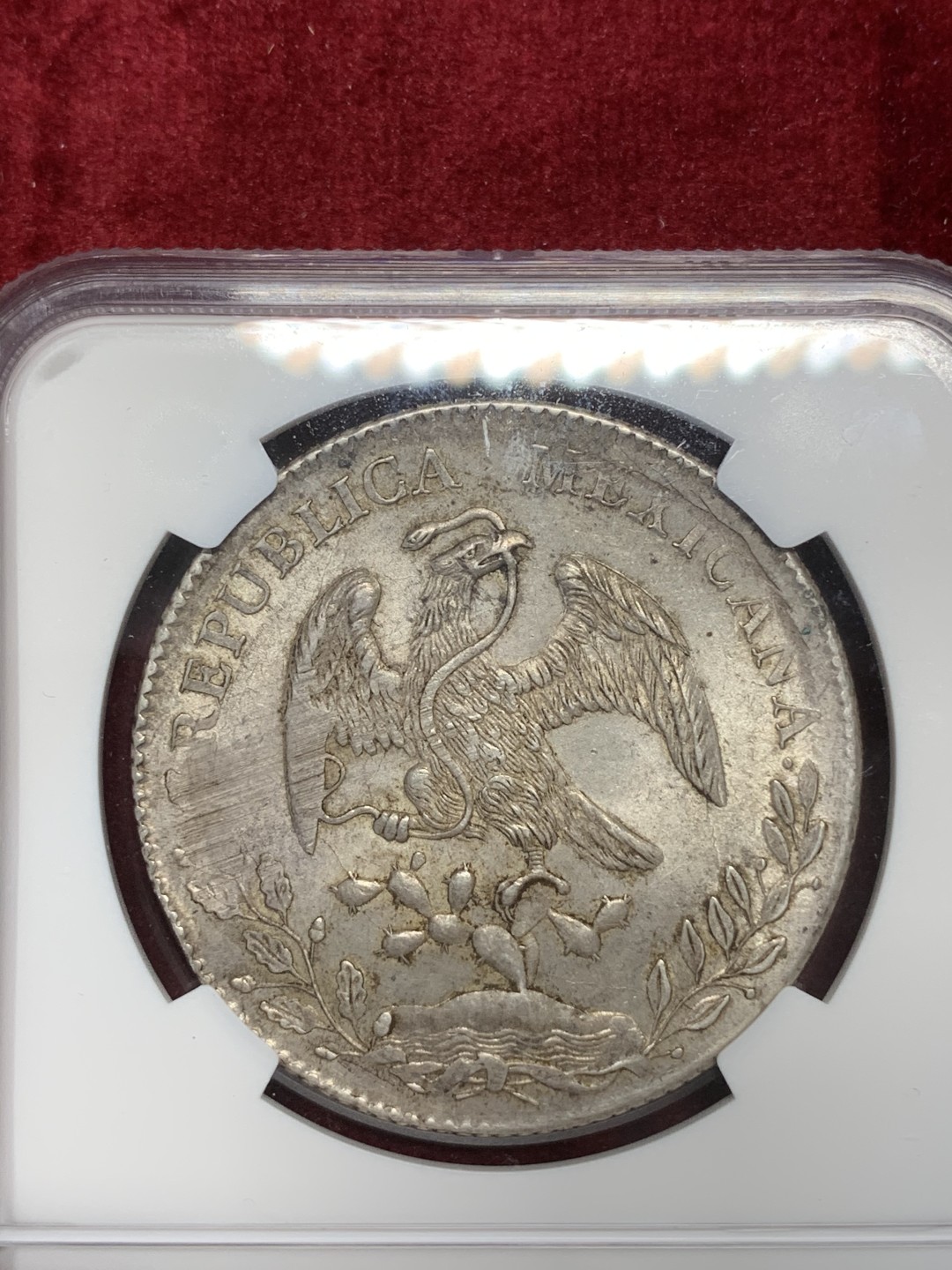 《竞宝斋》第67场-本周日，周一，周四.3场连拍（全场不限金额包邮） NGC MS62 墨西哥 1891年 花边 鹰洋 银币 双面原味包浆 底光好 收藏佳品