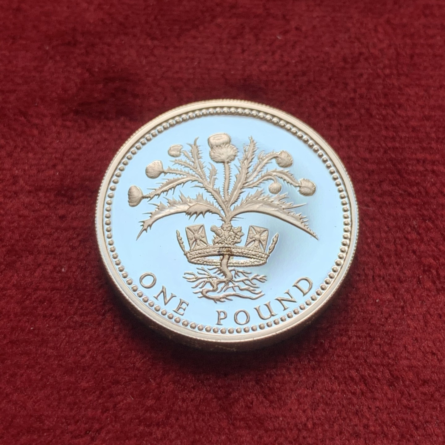 《竞宝斋》第68场-本周日，周一，周四.3场连拍（全场不限金额包邮） 英国1磅原盒精制银币，苏格兰蓟，1989年。