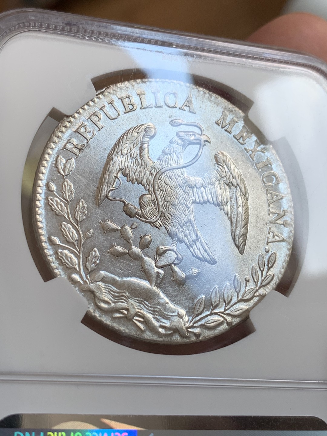 《竞宝斋》第68场-本周日，周一，周四.3场连拍（全场不限金额包邮） NGC-UNC墨西哥1895年8瑞尔鹰洋，打制清晰，光泽一流，鹰毫毕现，类精制