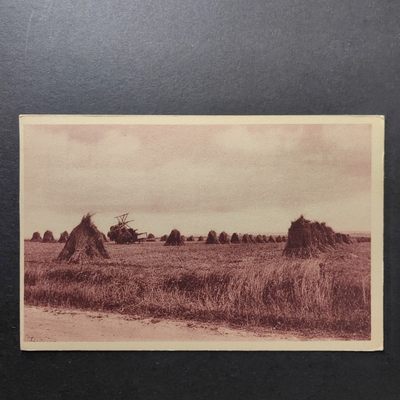 外国经典明信片 - 古典明信片