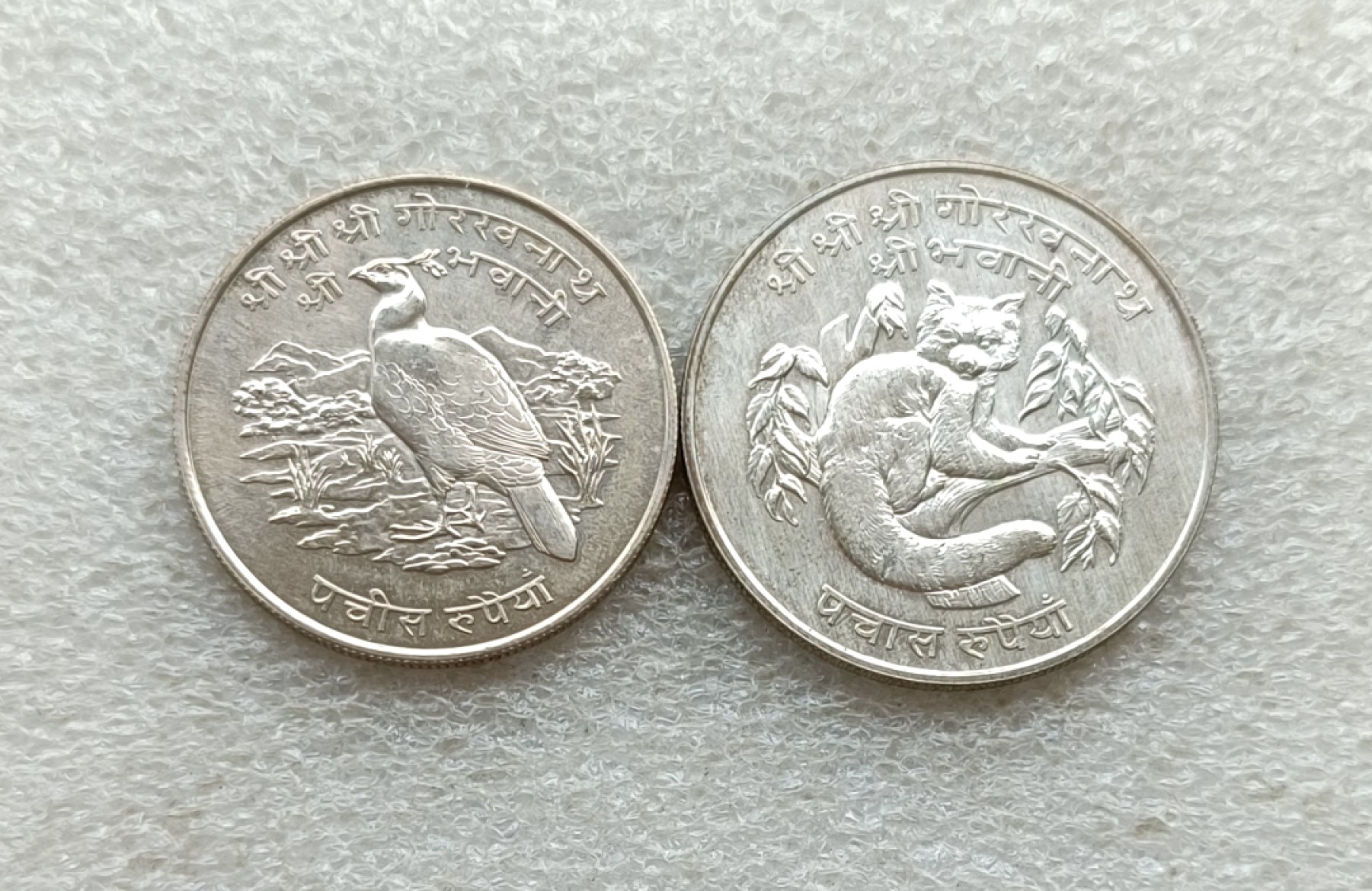 古币铜钱、各国币章，彼得堡拍卖第6期，本周五六两连拍，全场包邮,7月1号晚七点半0元起拍 